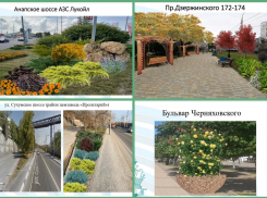 Преобразить за три года: в Новороссийске разработана концепция вертикального озеленения