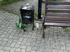 Двор в Борисовке тонет в мусоре