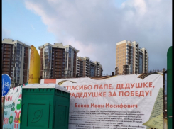 Благодарность за победу: в Новороссийске портрет ветерана ВОВ закрыли туалетом