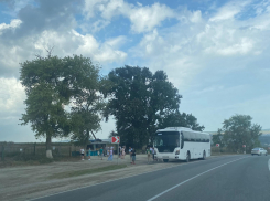 На море за 22 часа: из Москвы в Новороссийск запустили новый автобус 