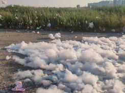 Никаких больше пенных вечеринок! Прокуратура возбудила дело за мероприятие в Новороссийске﻿