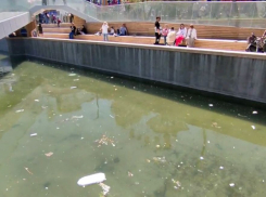 Водоем в парке Фрунзе превратился в помойку в Новороссийске 