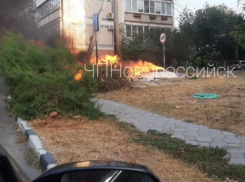 Опасный мусор чуть не уничтожил машины новороссийцев