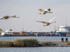 Погода в Новороссийске: холодает, но без дождей