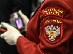 Предпринимателей Новороссийска оштрафовали на 560 тысяч руб за нарушение санитарных норм