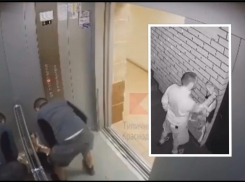 Воспитывал, швыряя головой об стену: специалисты из Новороссийска о живодере из Краснодара