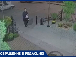 «Новороссийск должен знать героев в лицо», - камеры снова записали кражу цветов с клумб