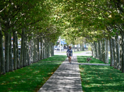 Погода в Новороссийске: понедельник без сюрпризов 