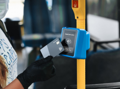 Новороссийцам дали совет, как избежать хамства водителей маршруток 