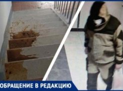 «Они приходят ночью и разливают г*вно по стенкам»: уже больше месяца новороссийский дом терроризируют неизвестные