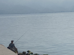 В Новороссийске сегодня взрывы и стрельбы