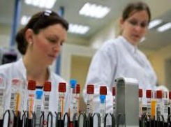 Коронавирус отступает: актуальная информация о COVID-19 в России и на Кубани