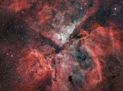 Гороскоп от “Блокнота” на 21 апреля: Весам следует расслабиться, а Тельцам набраться терпения