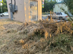 Кучи мусора в Новороссийске смогут спасти только кучи «субботников»