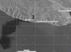 Разлив нефти под Новороссийском признан самым крупным в 2021 году по версии Росприроднадзора