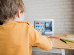 «Как ребёнку после новогодних каникул снова настроиться на учёбу?» - советы новороссийцам от Минздрава