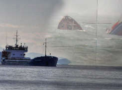 Кораблекрушение под Новороссийском обошлось в 746 миллионов рублей 