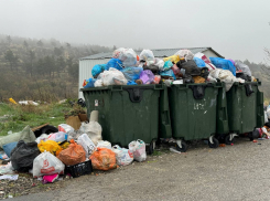 Установят камеры и продолжат свозить мусор: что ждет Щелбу, пока Геленджик утопает в мусоре 