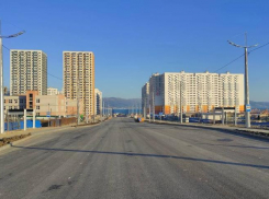 В Новороссийске вдоль новой дороги по Мурата Ахеджака высадят более сотни кленов