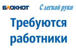 Десятки работодателей ищут работников в Новороссийске