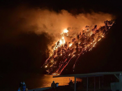 Туристы подожгли 1,2 гектара леса на побережье Черного моря 