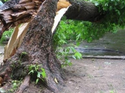 Накрыл ребенка собственным телом и спас ему жизнь: несчастный случай под Геленджиком