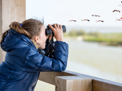 Топ-3 хобби, которыми можно заняться в Новороссийске бесплатно или с небольшими затратами