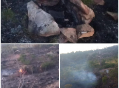 Непотушенный костер стал причиной возгорания в лесу Новороссийска