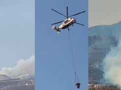 Горят леса и полигоны: пожары в Краснодарском крае начались «слишком рано»?