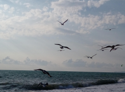 Американский разведчик кружил над Черным морем у берегов Краснодарского края 