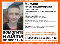 В Новороссийске продолжаются поиски пропавшего подростка