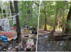 Снесли «квартиру» на свежем воздухе: администрация Новороссийска  разобралась с бомжами, поселившимися в Цемесской роще