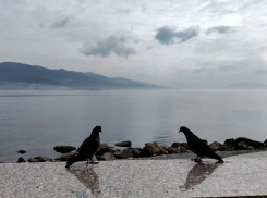 В Новороссийске немного потеплело, но машину мыть рано