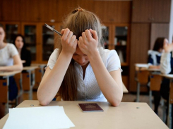 Выпускники трясутся, родители теряют сознание – новороссийцы сдают ЕГЭ по обществознанию