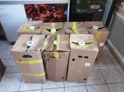 «Пивной бизнес» не удался у новороссийца