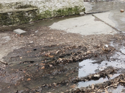 Новороссийцы задыхаются в своих домах 