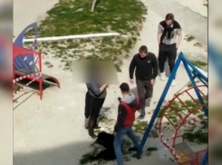 Отстрел животных: что случилось с бездомной собакой в Новороссийске 