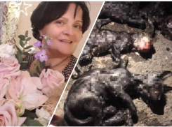 Конец истории: полиция сняла обвинения с жительницы Новороссийска за подозрение в убийстве животных 