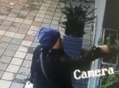 Женщина уже больше двух лет ворует цветы из горшков одного из офисов Новороссийска