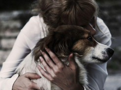 Новороссийцам запрещают хоронить питомцев 