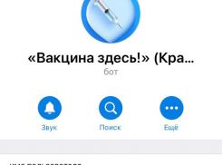 У новороссийцев появилась возможность с помощью чат-бота Telegram сделать процесс вакцинации от COVID-19 более удобным
