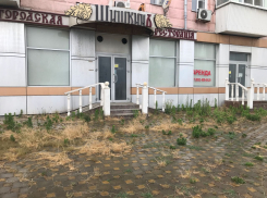 От элитного ресторана в центре Новороссийска остались крысы и тараканы