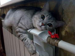 Совсем скоро в Новороссийске отключат отопление 