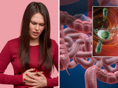 Как бы чего не подцепить: Краснодарский край назвали самым опасным для отдыха 