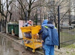 По 1,27 жёлтых контейнера в день чинили в Новороссийске