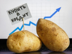 За последний год в Новороссийске цены на картофель выросли на 71%
