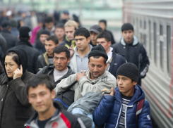 Как в ближайшее время изменится ситуация с мигрантами в Новороссийске