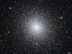 Гороскоп от “Блокнота” на 9 февраля — знакам стоит позаботиться о семье и родных