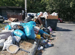 Новый мусорный «город» растет на одной из улиц Новороссийска 