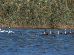 Погода в Новороссийске: малооблачно и солнечно
